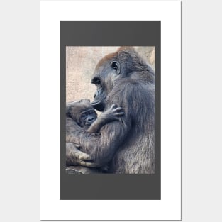 Western Lowland Gorilla and baby Posters and Art